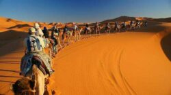 1551893415-merzouga-