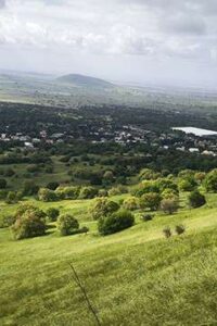 IMG_20250411_091500