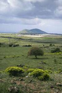 IMG_20250411_103829