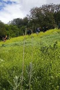 IMG_20250411_132301
