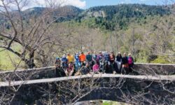 dji_fly_20260424_130410_0603_1777032197138_photo