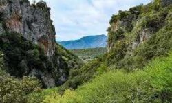 images (1)