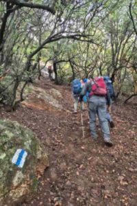 jpeg-optimizer_IMG_20251212_104501