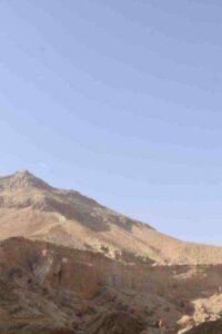 jpeg-optimizer__DSC4314